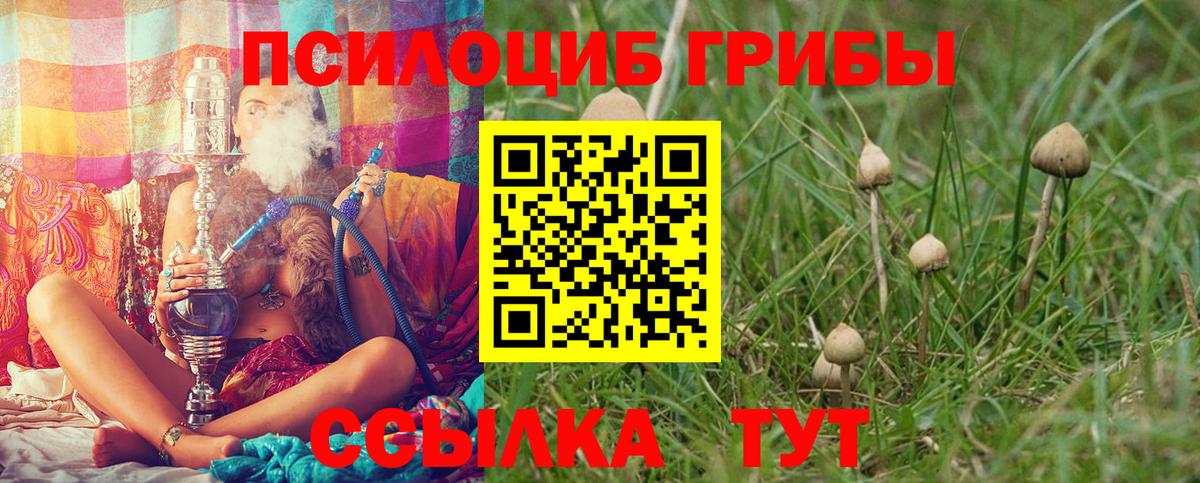 Полысаево  Галлюциногенные грибы мухоморы  цена   Вход с VPN 